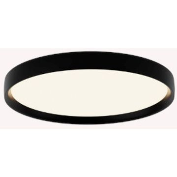 Zambelis CEILING LED LAMP 25186 Lubų šviestuvas 20W/led 2700-3000-4000K 1630-1663-1710lm IP20