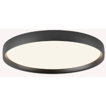 Zambelis CEILING LED LAMP 25187 Lubų šviestuvas 20W/led 2700-3000-4000K 1630-1663-1710lm IP20