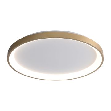 Italux Raden CLN-3151-M-GD Lubų šviestuvas 1x50W/LED 3000K|4000K|6000K 2900lm IP20