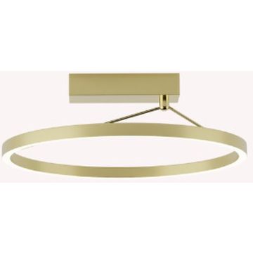 Zambelis CEILING LED LAMP 2564 Stropo šviestuvas 26W/led 3000K 1500lm IP20