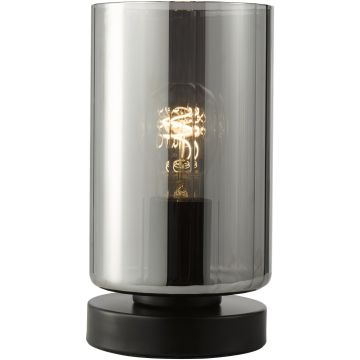 Dar Lighting Daylin DAY4222 Stalo lempa 1x60w/E27 ip20