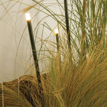 Zambelis SPIKE LIGHT E329 Sodų prožektorius 0.5W/led 2700Κ 58lm IP65