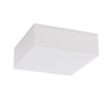 SHILO TOTTORI IL 8578 Lubų šviestuvas 10W/LED 4000K 1200LM IP44