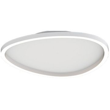 Zambelis CEILING LED LAMP 23206 Lubų šviestuvas 29W/led 3000K 1942lm IP20