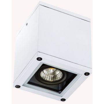 Zambelis CEILING LIGHT E270 Lubų šviestuvas 1x35W/GU10 IP65