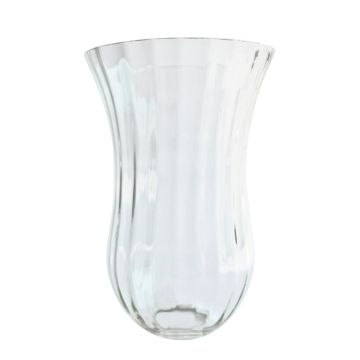 Hinkley Lighting CAMBRIDGE GS641 Lemputės gaubtas