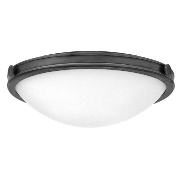 Hinkley Lighting Collier HK-COLLIER-F-M-BX Lubų šviestuvas 3x40W/E27 IP20
