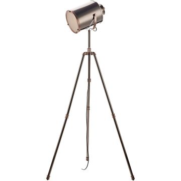 Dar Lighting Jake JAK4921 Stovinė lempa 1x40w/e27 ip20