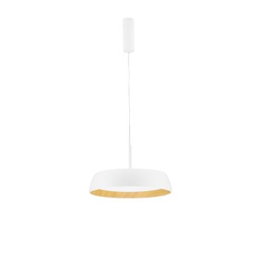 Luces Exclusivas CARACOLLO LE44813 Pakabinama lempa 1x40W/led 3000k IP20 3111lm