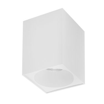 Luces Exclusivas CARIPITO LE61446 Lubų šviestuvas IP20