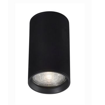 Luces Exclusivas CARTANAL LE61433 Lubų šviestuvas IP20