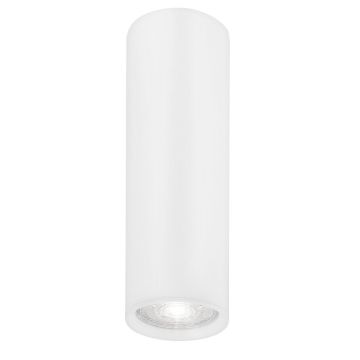 Luces Exclusivas CARTANAL LE61434 Lubų šviestuvas IP20
