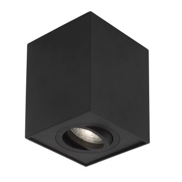 Luces Exclusivas CHIVACOA LE61454 Lubų šviestuvas IP20