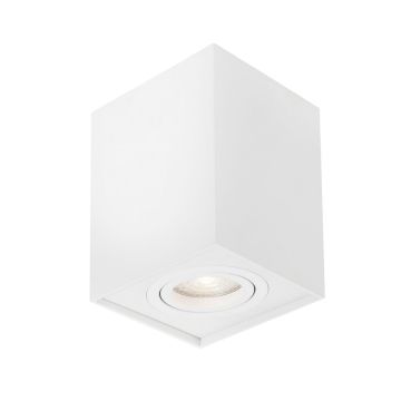 Luces Exclusivas CHIVACOA LE61455 Lubų šviestuvas IP20