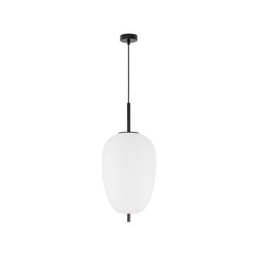 Luces Exclusivas MARC LE42720 Pakabinama lempa IP20