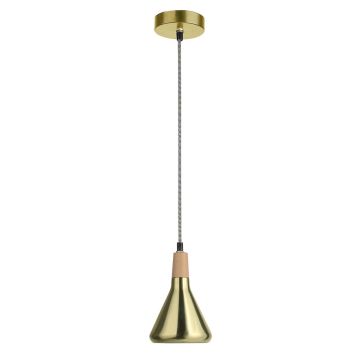 Luces Exclusivas OSORNO LE42117 Pakabinama lempa IP20