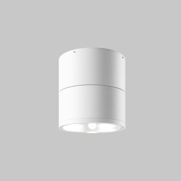 Maytoni Spin O310CL-L12W3K Lubų šviestuvas 1x12W/LED 3000K 1050lm IP54
