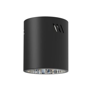 Milagro GEORGE ML0480 Lubų šviestuvas 1x60W/E27 IP20