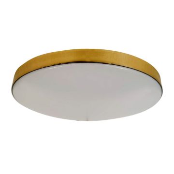 Milagro MAYA ML7790 Lubų šviestuvas 1x15W/LED 4000K 1650lm IP44