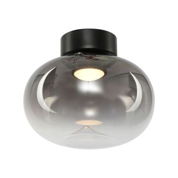 Milagro VASO ML1409 Stropo šviestuvas 1x4W/LED 3000K 388lm IP20