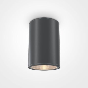 Maytoni BAR O306CL-L12GF Lubų šviestuvas 1x12W/LED 3000K 1300LM IP65