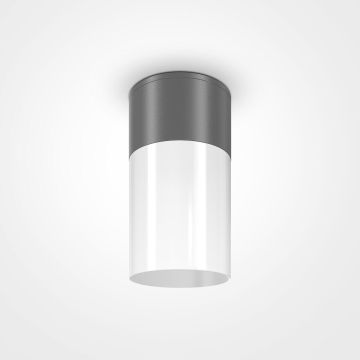 Maytoni WILLIS O418CL-01GR Lubų šviestuvas 1x60W/E27 IP54
