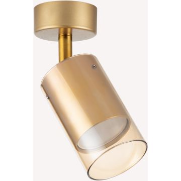 Zuma Line REN OB-2211BD-1-GLD Taškinis šviestuvas 1x50W/GU10