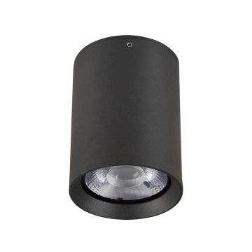 Italux Cervia OPN-2003-4K Lubų šviestuvas 1x9W/LED 4000K 773lm IP54
