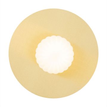 Argon PALOMA 8503 Sienos lempa 1x7W/E14 IP20