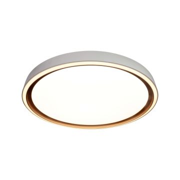Italux Rende PLF-63728-3K4K6K-GD-WH-SL Lubų šviestuvas 1x47W/LED 3000K|4000K|6000K 6500lm IP44