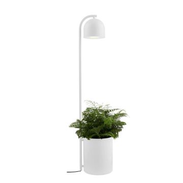 Kaspa BOTANICA XL 40848101 Stovinė lempa 1x9W/GU10 IP20