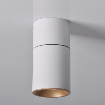 Polux ASTRA 314024 Lubų šviestuvas max 10W LED IP20