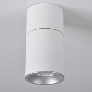 Polux ASTRA 314031 Lubų šviestuvas max 10W LED IP20