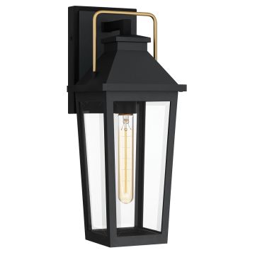 Quoizel Buckley QZ-BUCKLEY-M-MBK Sienos lempa 1x40W/E27 IP44