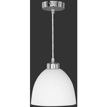 Trio DALLAS R32171007 Pakabinama lempa 1x60w/e27 ip20