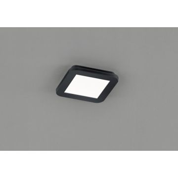 Trio CAMILLUS R62931032 Stropo šviestuvas 1x10w/led 3000k 850lm ip44