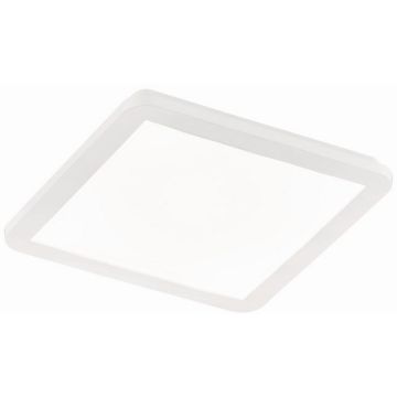 Trio CAMILLUS R62931801 LED panelis 1x18w/led 3000k 1650lm ip44