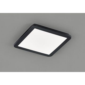 Trio CAMILLUS R62931832 Stropo šviestuvas 1x18w/led 3000k 1650lm ip44