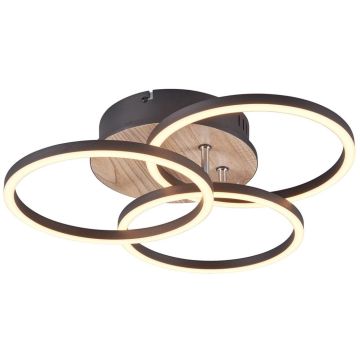 Trio CIRCLE R62823135 Stropo šviestuvas 1x27w/led 2700-6000K 3200lm ip20