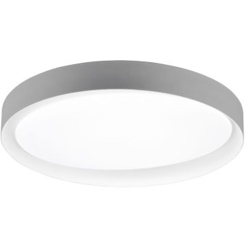 Trio ZETA R62712411 Stropo šviestuvas 1x24w/led 2700-6500k 2500lm ip20