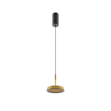 Maytoni El MOD041PL-L15G3K Pakabinama lempa 1x12W/LED 3000K 700lm IP20