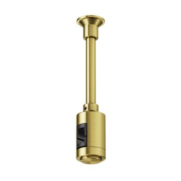 Maytoni Flarity TRA155CW-SL1-BS Pakabos