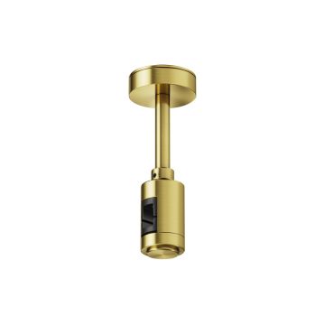 Maytoni Flarity TRA156C-S1-BS Pakabos