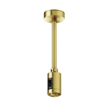 Maytoni Flarity TRA156C-SL1-BS Pakabos