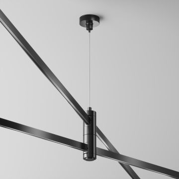 Maytoni Flarity TRA157SW-D1-B Pakabos IP20