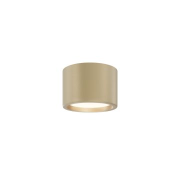 Maytoni Hydra C090CL-10W3K-MG Lubų šviestuvas 1x10W/LED 3000K 650lm IP44