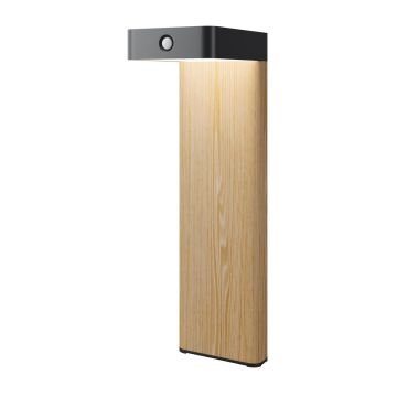 Maytoni Nordis O140FL-L2BK1 Stovinė lempa 1x2W/LED 3000K 98lm IP65