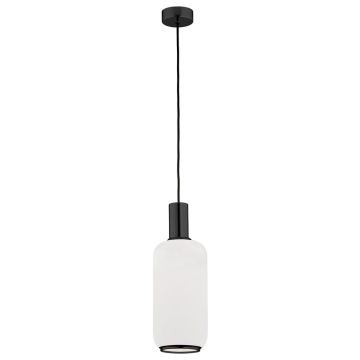Argon SAGUNTO 8563 Pakabinama lempa 1x15W/E27 IP20