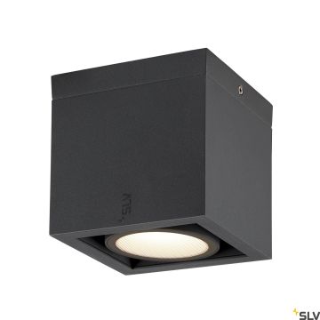 SLV ESKINA 1006316 Lubų šviestuvas 1x15W/LED 3000K|4000K 1100LM|1200LM IP65