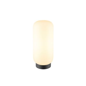 SLV PANTILO SLIM 1010348 Stalo lempa 1x15W/E27